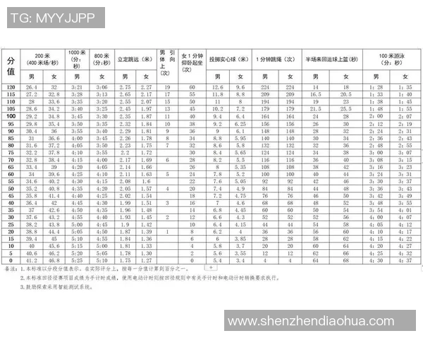 球员评分系统大比拼：评分标准全解析