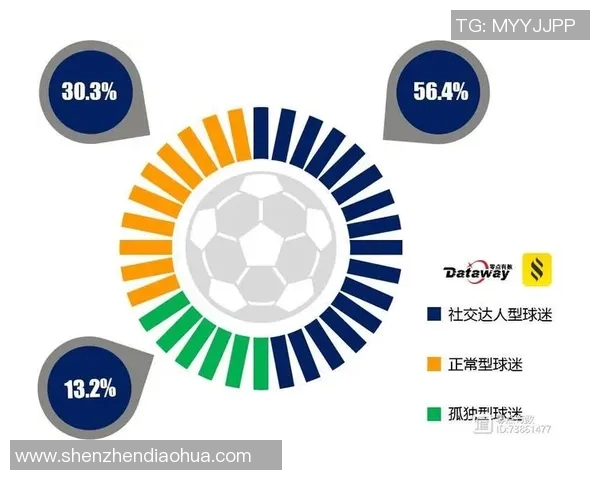 球迷行为学研究