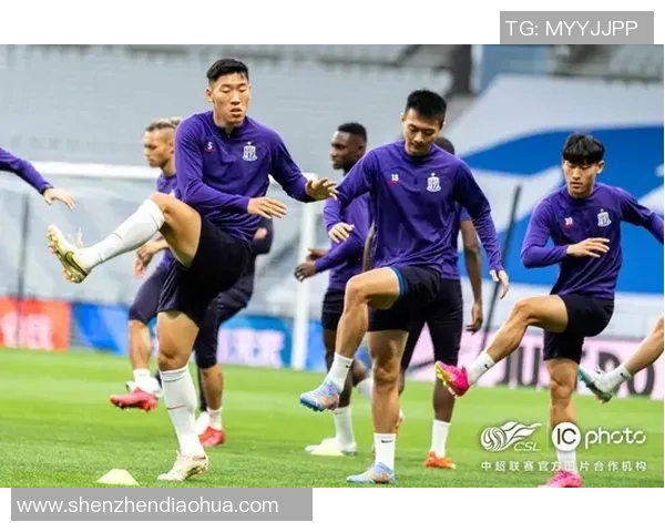 足球联赛球队伤病管理及影响评估 足球联赛球队伤病管理及影响评估