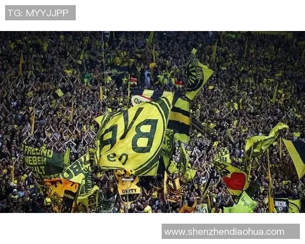 你不知道的多特蒙德:十大冷知识大揭秘 你不知道的多特蒙德:十大冷知识大揭秘