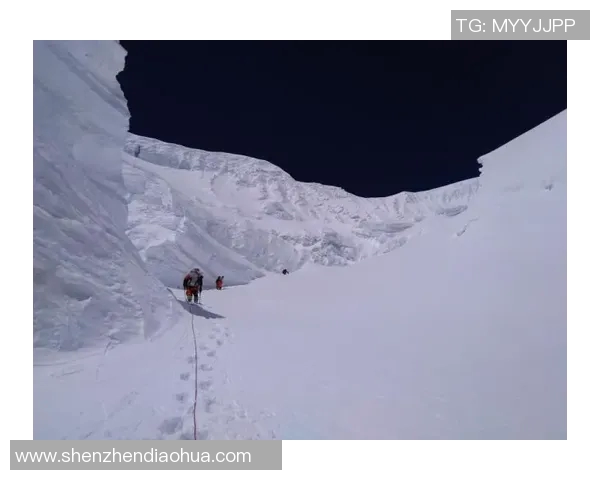 中国登山队挑战喜马拉雅新线路,全员成功登顶 中国登山队挑战喜马拉雅新线路,全员成功登顶